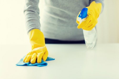 Technician preparing a carpet for steam cleaning