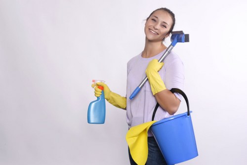 Understanding stain removal science and methods
