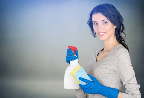Home energy efficiency and environmentally responsible living concept
